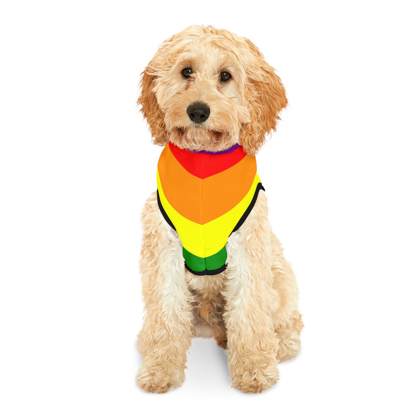 Pet Hoodie - Pride inspirerad Regnbåge