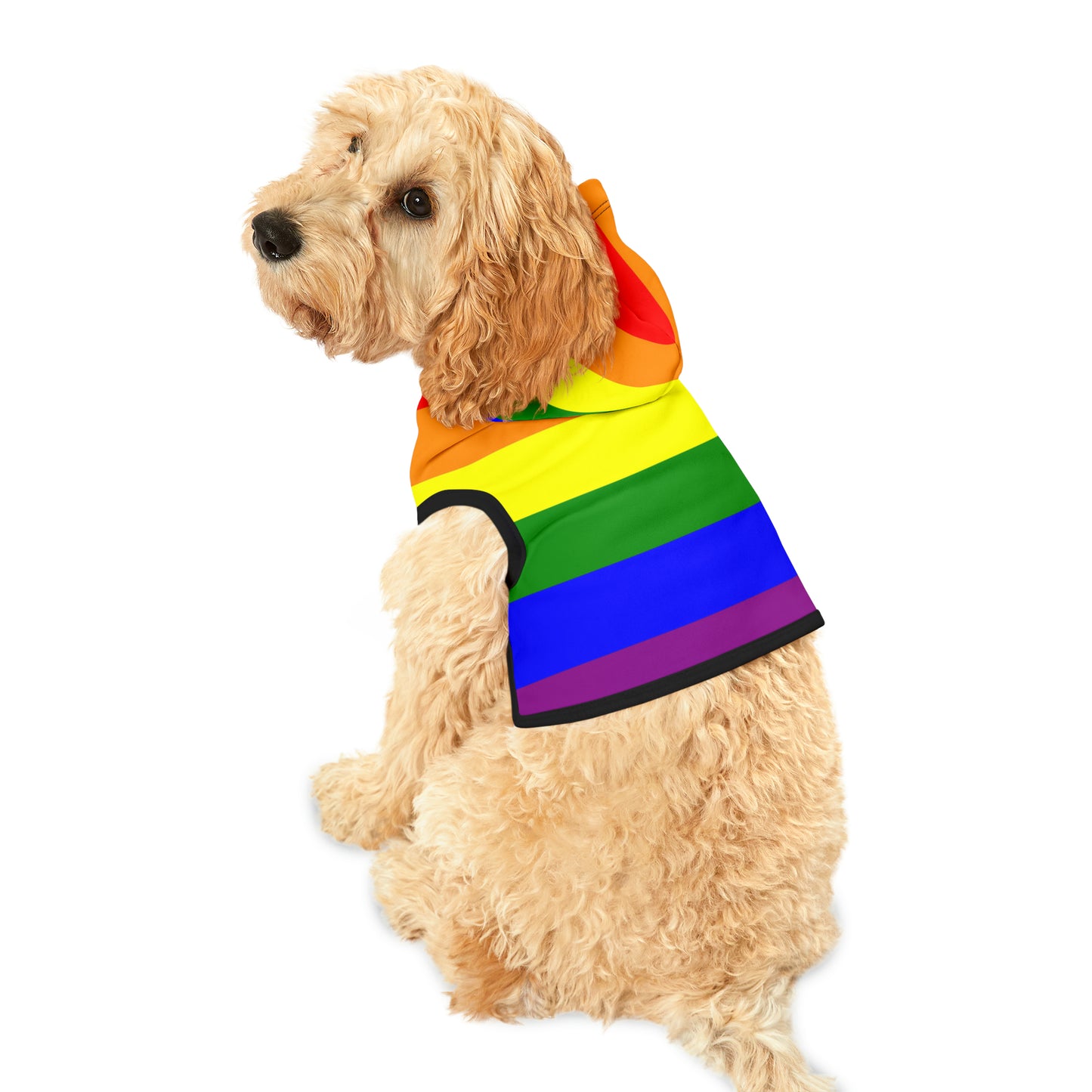 Pet Hoodie - Pride inspirerad Regnbåge