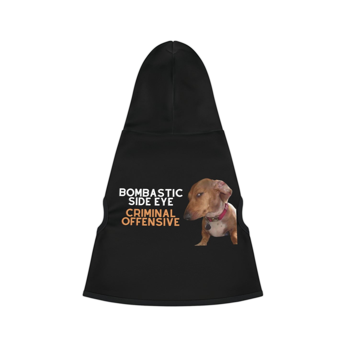 Pet Hoodie - Bombastic sideye