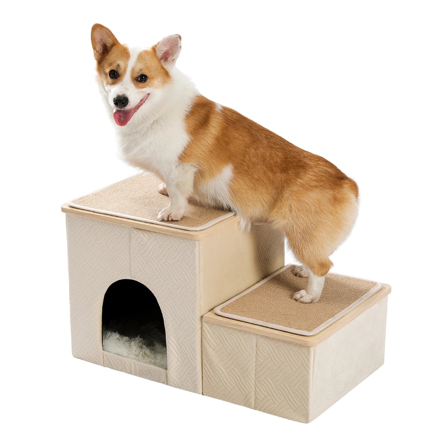 Glad corgi som ler och står på en beige hundtrappa med inbyggd säng.  En hundtrappa till säng. 