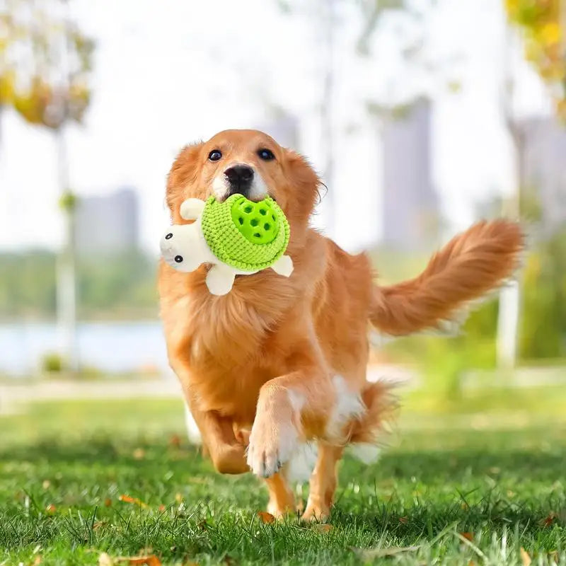 Skattjakten Sköldpadda - Nosa fram godis & aktivera din hund!