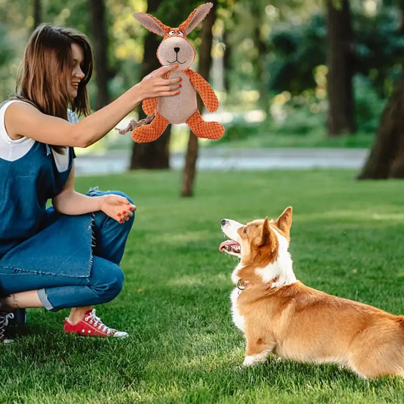 Tough Squeaky Rabbit – Hållbar Tuggleksak för Hundar