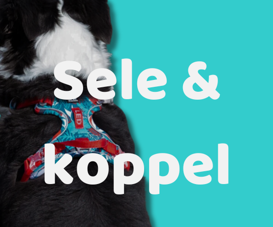 Sele & koppel från Happy Paw