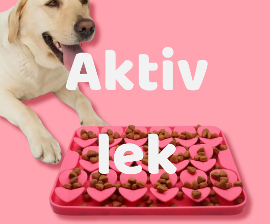 Hund med rosa fodermatta, allt för aktiv lek hos Happy Paw