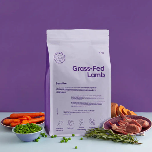 Pet Buddy Foods – Grass-Fed Lamb 5 kg – För känsliga magar